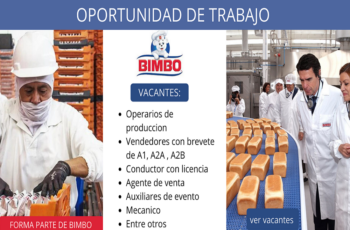 Bimbo Abre Puertas a Nuevos Talentos: ¡Solicita tu Empleo!